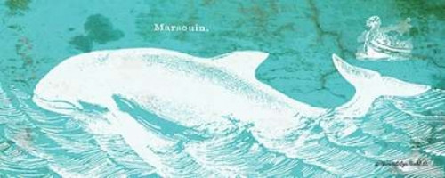 Caribbean Whale II Poster Print by Gwendolyn Babbitt