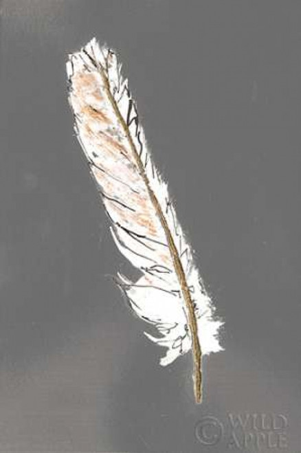 Gold Feathers II on Grey Poster Print by Chris Paschke