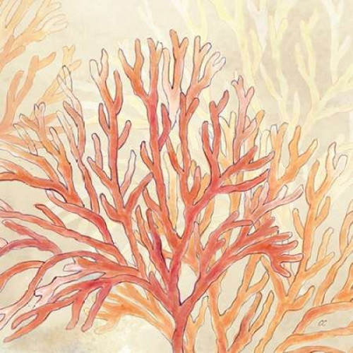 Coral Reef Cream I Poster Print by Cynthia Coulter - Item # VARPDXRB11215CC