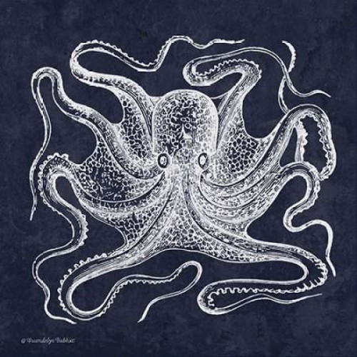 Octopi I Poster Print by Gwendolyn Babbitt - Item # VARPDXBAB287