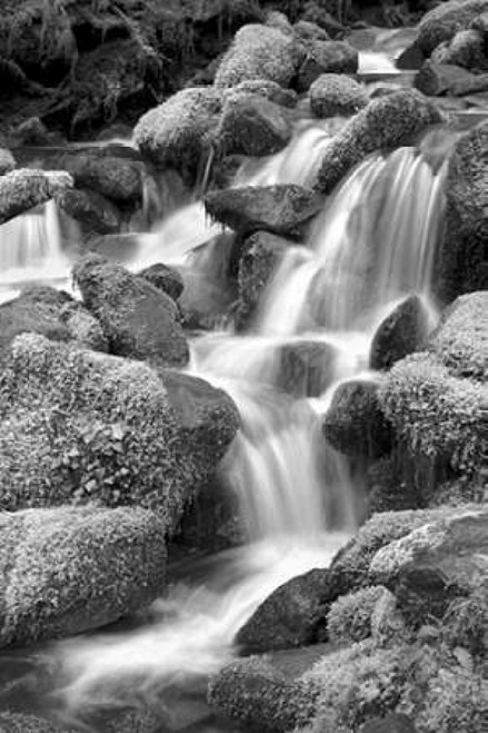 Trailside Waterfall II BW Poster Print by Douglas Taylor - Item # VARPDXPSTLR631