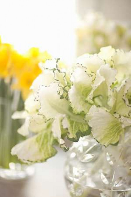 White Bouquet Poster Print by Karyn Millet - Item # VARPDXPSMLT483