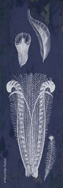 Indigo Feathers I Poster Print by Gwendolyn Babbitt