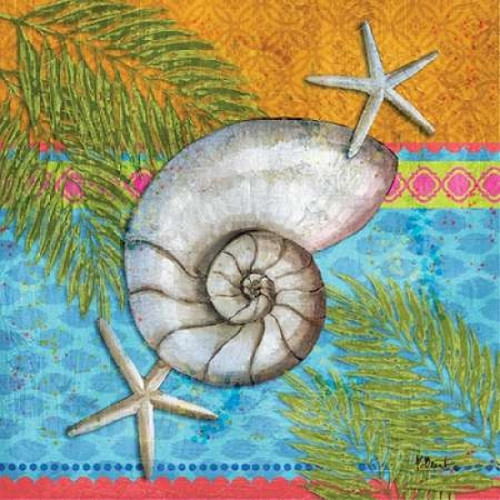 Pacific Shells III Poster Print by Paul Brent