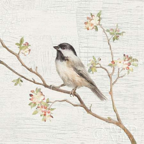 Black Capped Chickadee Vintage Poster Print by Danhui Nai - Item # VARPDX28598