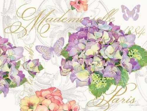 Hydrangea Mademoiselle Poster Print by Julie Paton - Item # VARPDXPAT156