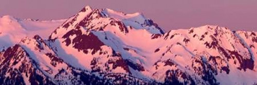Alpenglow on Olympic Mountains Poster Print by Douglas Taylor - Item # VARPDXPSTLR575