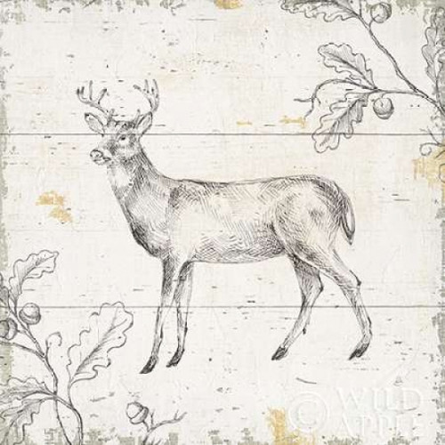 Wild and Beautiful VI Poster Print by Daphne Brissonnet - Item # VARPDX28765