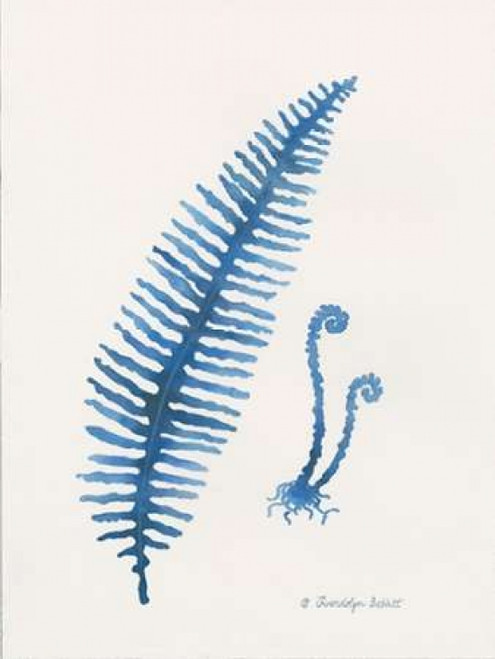 Indigo Fern II Poster Print by Gwendolyn Babbitt - Item # VARPDXBAB317