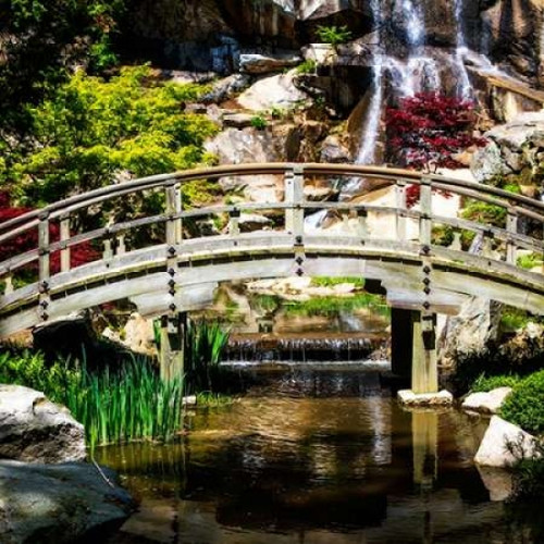 Japanese Garden V Poster Print by Alan Hausenflock - Item # VARPDXPSHSF2051