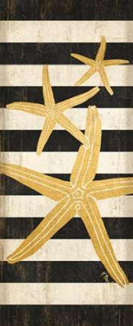 Gold Coast Starfish Poster Print by Paul Brent