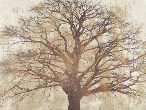 Sacred Oak Poster Print by Alessio Aprile - Item # VARPDX3AI3705
