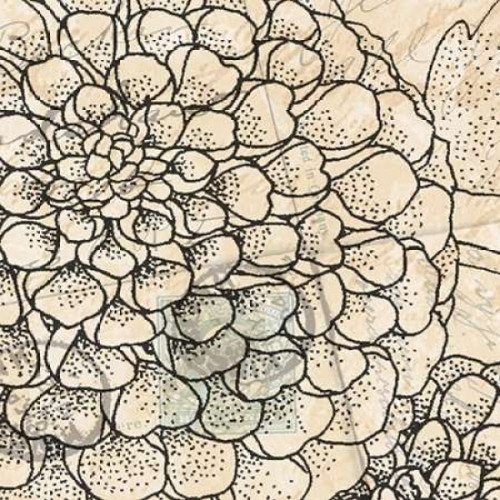 Vintage Dahlias II Poster Print by Todd Williams - Item # VARPDXTWM152