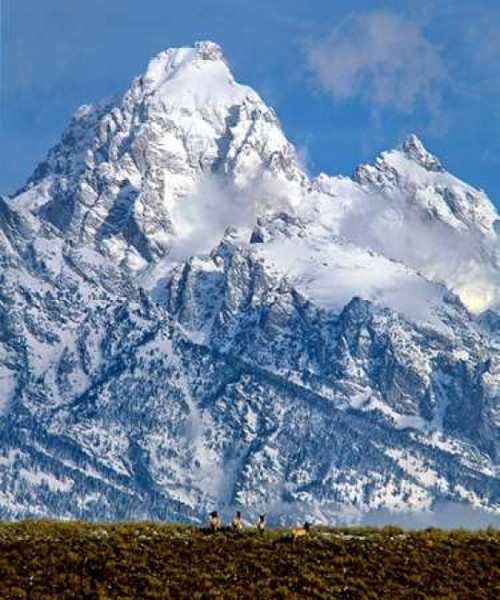 Grand Teton National Park V Poster Print by Ike Leahy - Item # VARPDXPSLHY159
