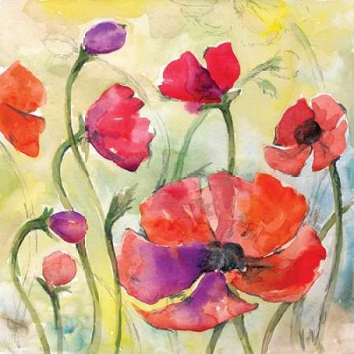 Poppy Study II Poster Print by Margaret Ferry - Item # VARPDXMFY150