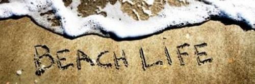 Beach Life Poster Print by Alan Hausenflock - Item # VARPDXPSHSF1769