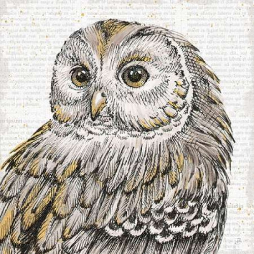 Beautiful Owls I Poster Print by Daphne Brissonnet - Item # VARPDX28801