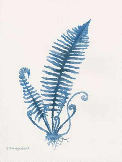 Indigo Fern IV Poster Print by Gwendolyn Babbitt
