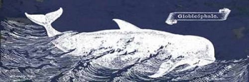 Indigo Whale I Poster Print by Gwendolyn Babbitt