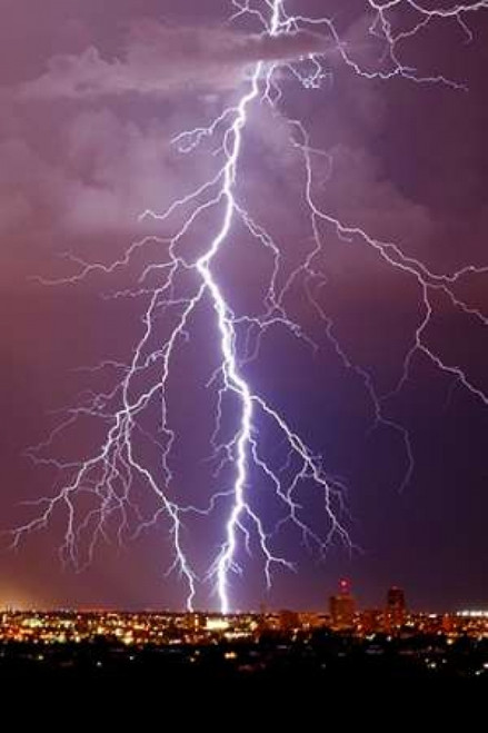 Lightning Portrait Poster Print by Douglas Taylor