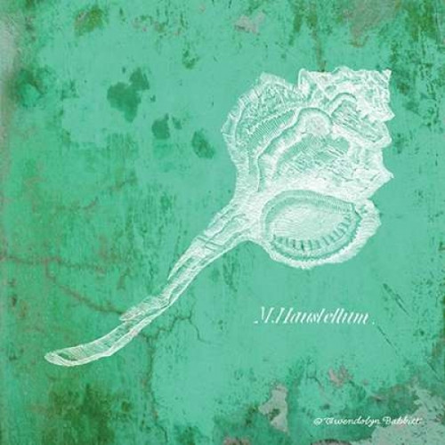 Caribbean Shell III Poster Print by Gwendolyn Babbitt