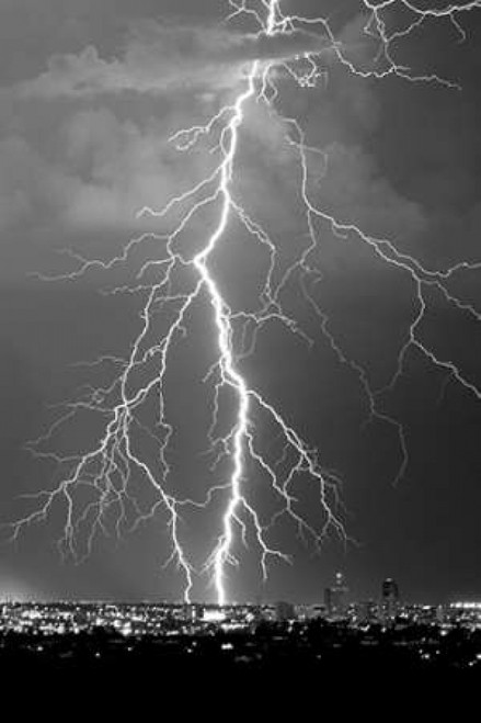 Lightning Portrait BW Poster Print by Douglas Taylor - Item # VARPDXPSTLR683