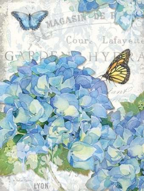 Garden Hydrangea I Poster Print by Julie Paton - Item # VARPDXPAT150