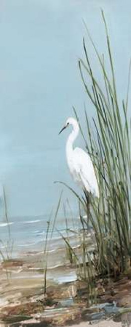 Island Egret II Poster Print by Sally Swatland - Item # VARPDX17792 Island Egret II Poster Print by Sally Swatland - Item # VARPDX17792