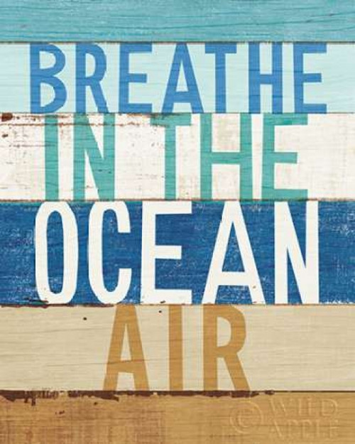 Beachscape Inspiration V Poster Print by Michael Mullan - Item # VARPDX23148