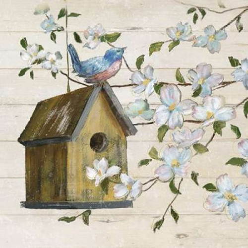 Shiplap Song I Poster Print by Nan - Item # VARPDX17541