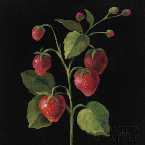 Fraise no Words Poster Print by Silvia Vassileva - Item # VARPDX29205