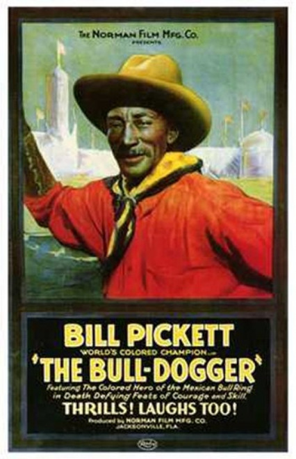 The Bull Dogger Movie Poster (11 x 17) - Item # MOV142703