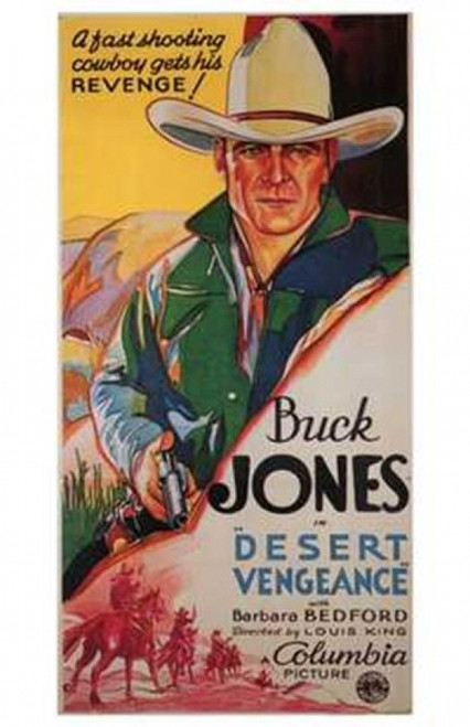 Desert Vengeance Movie Poster (11 x 17) - Item # MOV200035