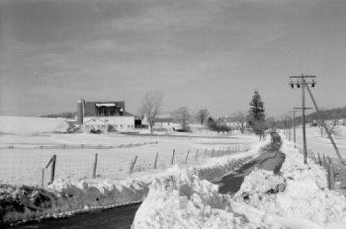 USA  Pennsylvania  Road through snow covered fields Poster Print - Item # VARSAL255423404