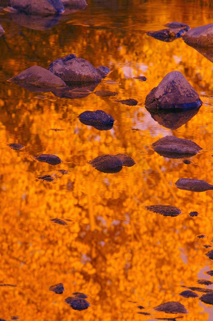 Autumn Reflections PosterPrint - Item # VARDPI1784113