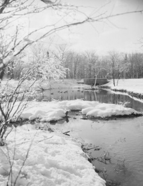 Winter scenic. Poster Print - Item # VARSAL255422763