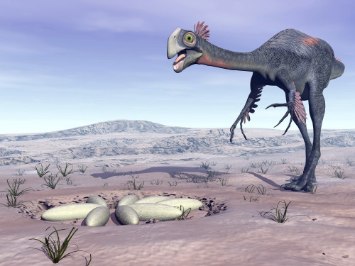 Female Gigantoraptor dinosaur walking to its nest full of eggs in the desert Poster Print - Item # VARPSTEDV600108P