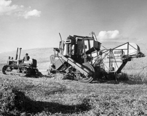Farmer using a combine harvester in a pea field  Washington State  USA Poster Print - Item # VARSAL25530496