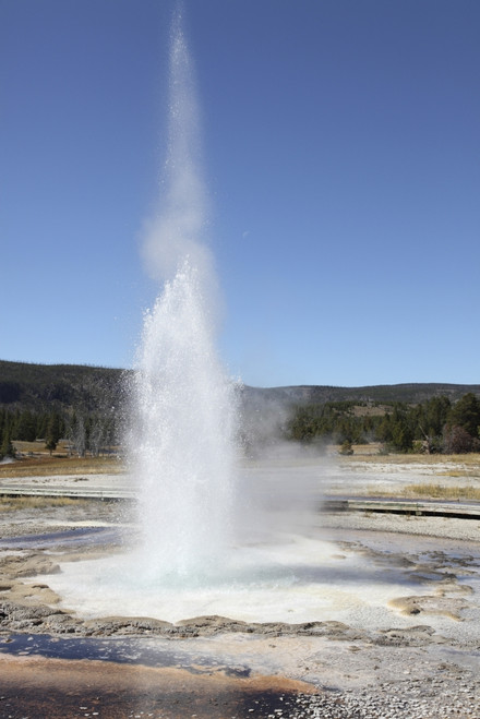 September 12, 2009 - Sawmill Geyser, Upper Geyser Basin geothermal area, Yellowstone Caldera, Yellowstone National Park, Wyoming. Poster Print - Item # VARPSTRRS300330S
