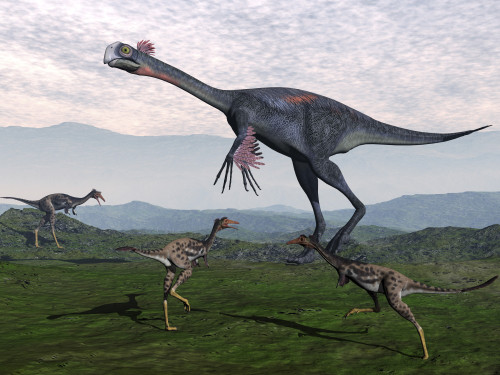 Gigantoraptor surrounded by small Mononykus dinosaurs Poster Print - Item # VARPSTEDV600241P