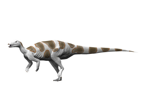 Trinisaura santamartaensis, Late Cretaceous of Antarctica Poster Print - Item # VARPSTNBT600017P