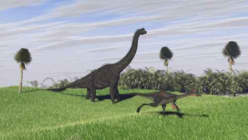 Large Brachiosaurus and a Gigantoraptor in a grassy field Poster Print - Item # VARPSTKVA600381P