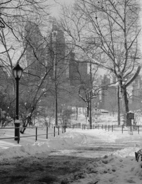 USA  New York City  Manhattan  Central Park  winter Poster Print - Item # VARSAL255422589