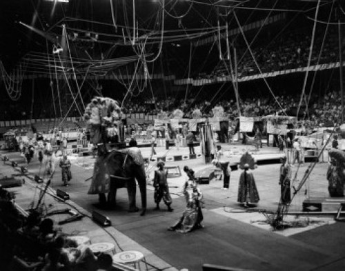 USA  Massachusetts  Boston Gardens  Barnum and Bailey Ringling Brothers Circus Poster Print
