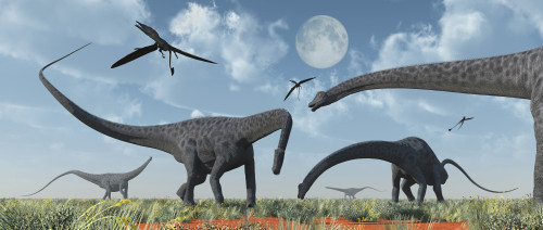 A herd of giant Diplodocus dinosaurs grazing during Earth's Jurassic Period of time Poster Print - Item # VARPSTMAS100789P