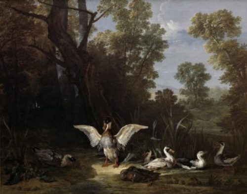 Ducks Jean-Baptiste Oudry Poster Print