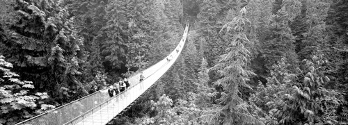 Capilano Bridge, Suspended Walk, Vancouver, British Columbia, Canada Poster Print - Item # VARPPI171593