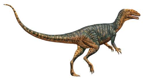 Gojirasaurus dinosaur, white background Poster Print