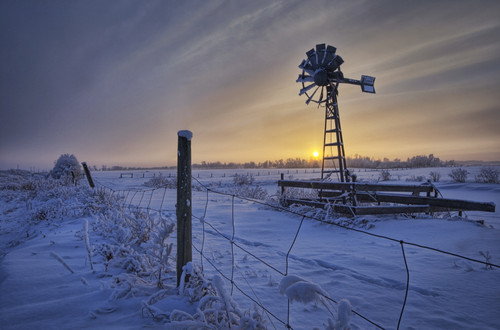Hoar Frost On A Foggy Winter Sunset, Alberta PosterPrint - Item # VARDPI2034324