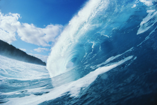 Side View Of Blue, Curling Wave. PosterPrint - Item # VARDPI1992583
